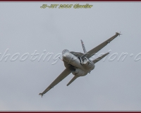 3GLOVELIER 0445